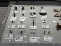 -四川大学博物馆