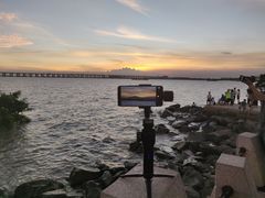 -宝安西湾红树林湿地公园