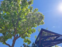 -北京西山国家森林公园