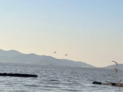 -东山风景区(洞庭东山)