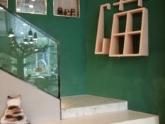 -飞行喵MR PILOT|猫舍·猫咖(静安大融城店)