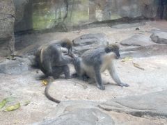 -泉州海丝野生动物世界