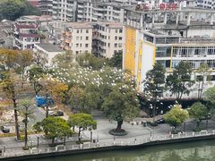 -中山喜来登酒店