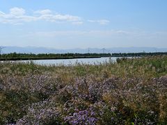 -野鸭湖国家湿地公园