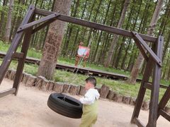 -黄海国家森林公园