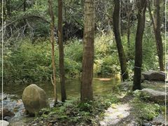 -玉渡山自然风景区