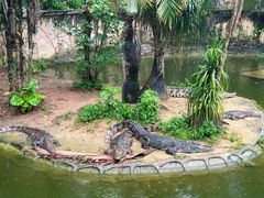 -深圳野生动物园