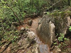 -普者黑风景区-青龙山