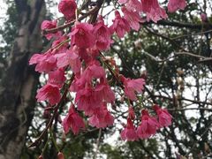 -乌山风景区