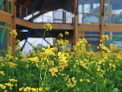 -中国天府农业博览园