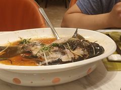 -顺意·顺德家乡菜(国际人才大厦店)