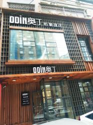 -ODIN 奥丁形象设计 