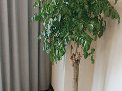-U你·湖北家宴菜(南湖总店)