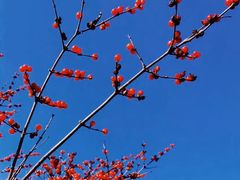 -长春公园(普阳街道)