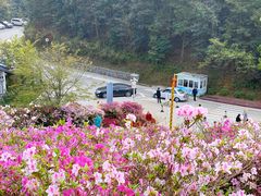 -广州市石门国家森林公园