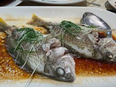 -益健美食大广场(北岭店)