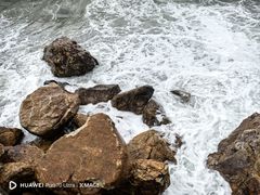 -慢丽江·云南野生菌土鸡锅(付家庄店)