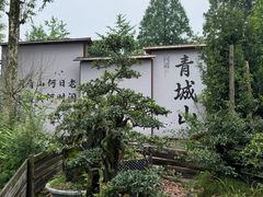 -青城山