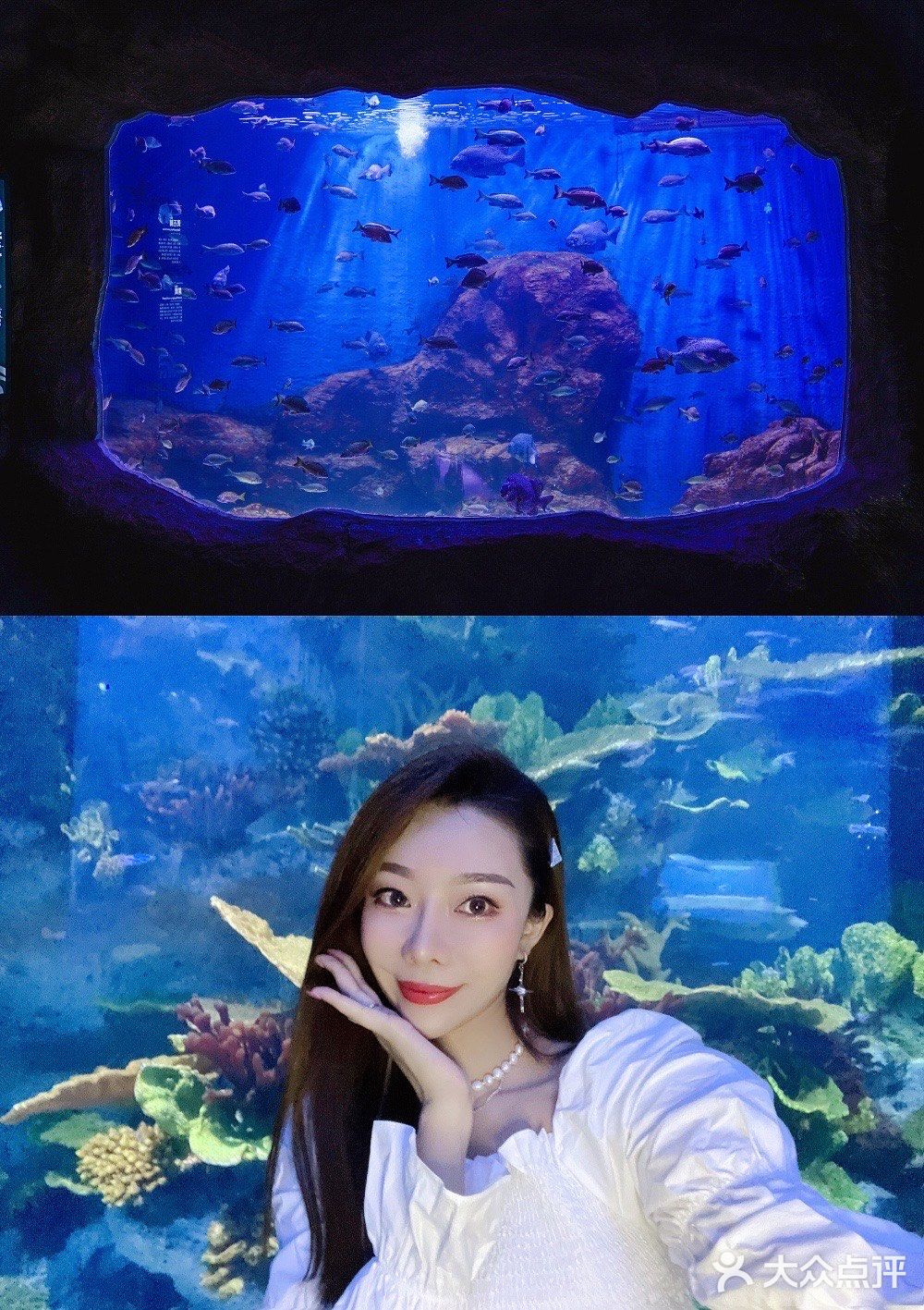 超出片｜青岛海底世界🐠小长假约起来