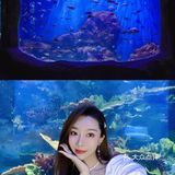 超出片｜青岛海底世界🐠小长假约起来