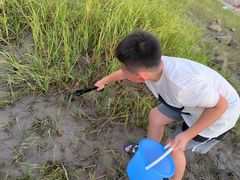 -南汇嘴观海公园