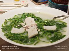 竹笙浸农家桑叶-大鸽饭(岗顶店)