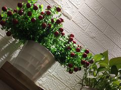 -秦云老太婆摊摊面(福建中路店)