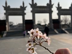-观潮胜地公园