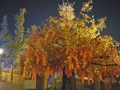 -南京市江宁方山