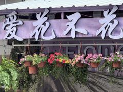 -溪岸路花鸟市场