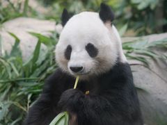 -香港海洋公园