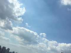 -新湖明珠城