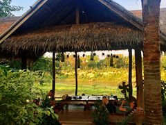 -乌托邦酒吧和餐厅