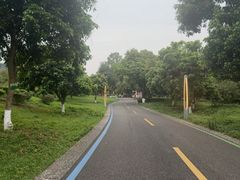 -张坝桂圆林公园