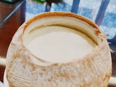 原只椰子炖奶-民信老铺(华盖路店)