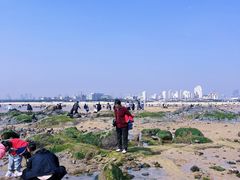 -巧克力渔家.小船海鲜胶东菜(万平口店)