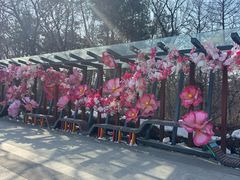 -沈阳植物园