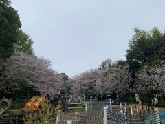 -杭州少年儿童公园