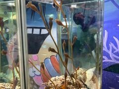 -太平洋海底世界