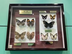 -上海昆虫博物馆