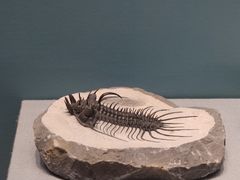 -湖南省地质博物馆