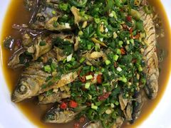 -全乐鱼馆·淳牌有机鱼直营店