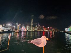 -海港城