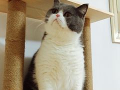 -猫头鹰照相馆(丰科万达店)