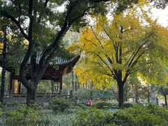 -汇龙潭