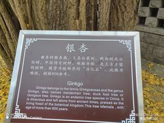 -青岛崂山太清宫