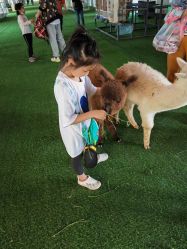 点击看大图 -萌宠亲子动物乐园(槐房万达店)