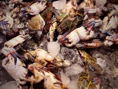 -芭提雅Amporn Seafood自助餐厅