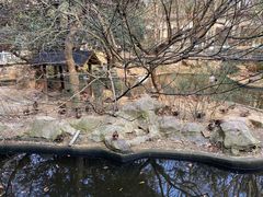 -杭州动物园