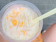 -周先生石花膏